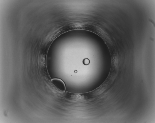 X0000101710421200807101609