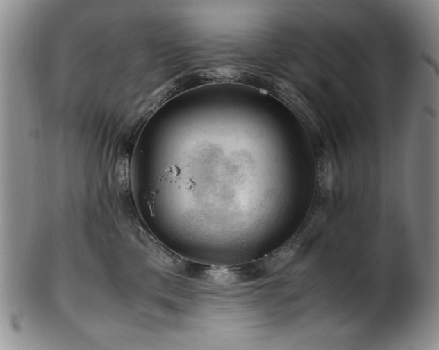 X0000101710425200807101609