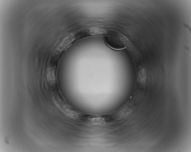 X0000101710426200807101609