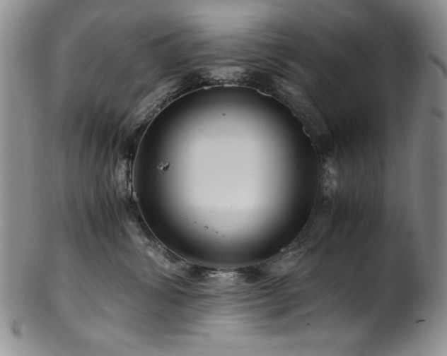 X0000101710428200807101609
