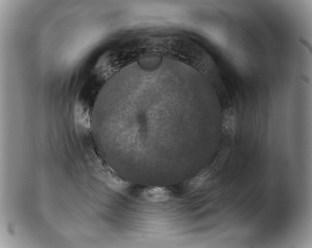 X0000101710431200807101609