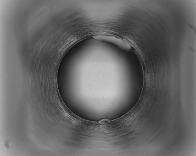 X0000101710433200807101608