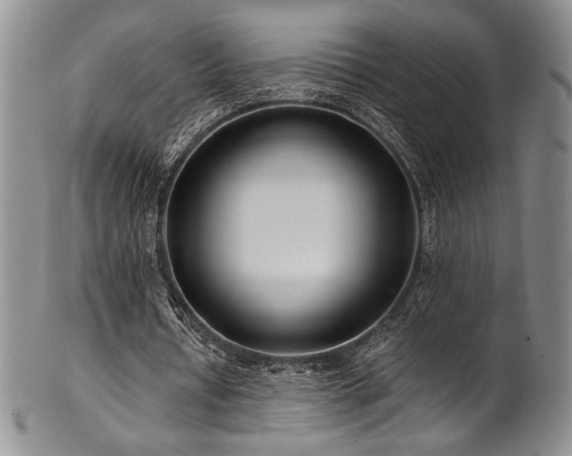 X0000101710434200807101608