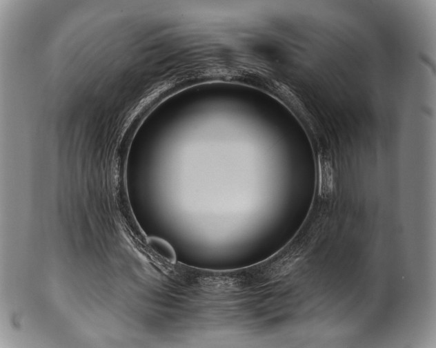 X0000101710435200807101608