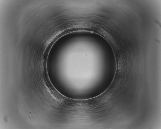 X0000101710436200807101608