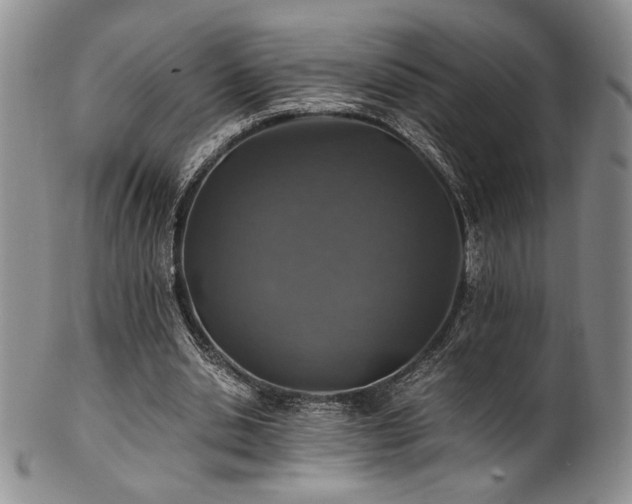 X0000101710438200807101608