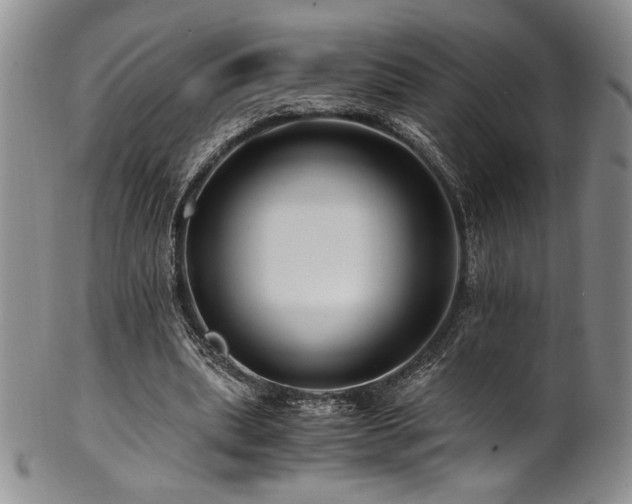 X0000101710439200807101608