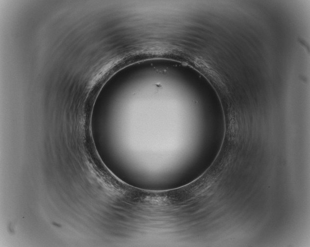X0000101710440200807101608