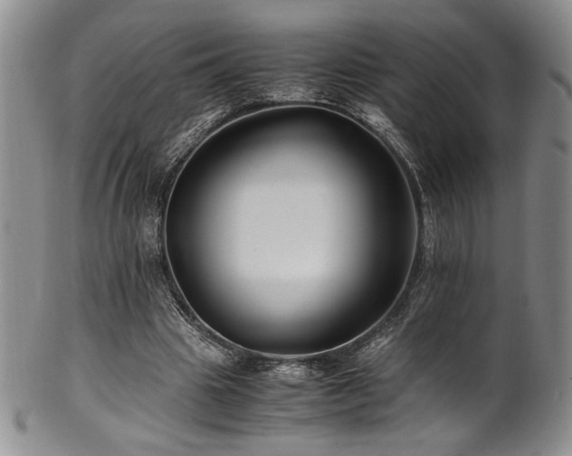 X0000101710441200807101608