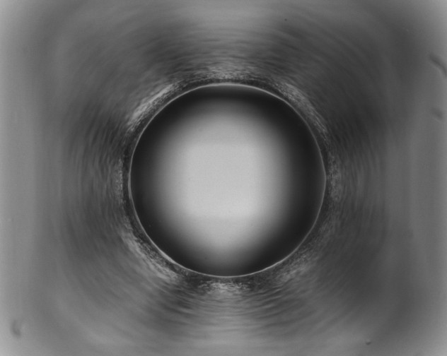 X0000101710442200807101608