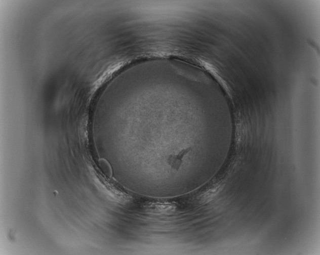 X0000101710443200807101608