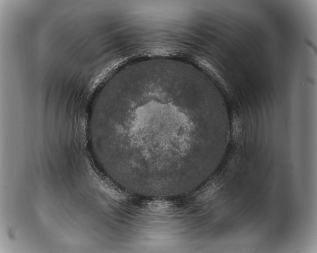 X0000101710444200807101608