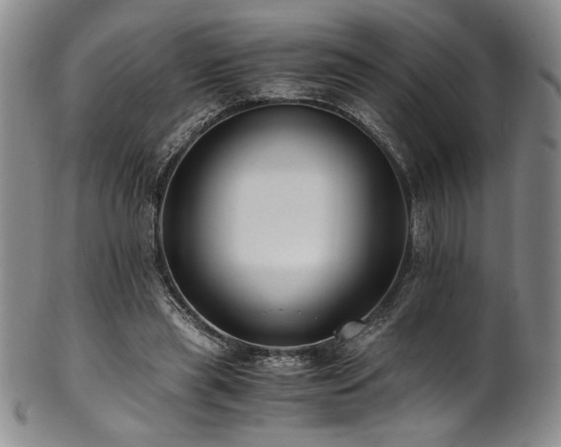 X0000101710445200807101609
