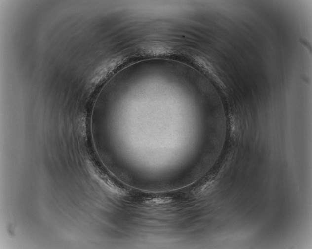 X0000101710447200807101609