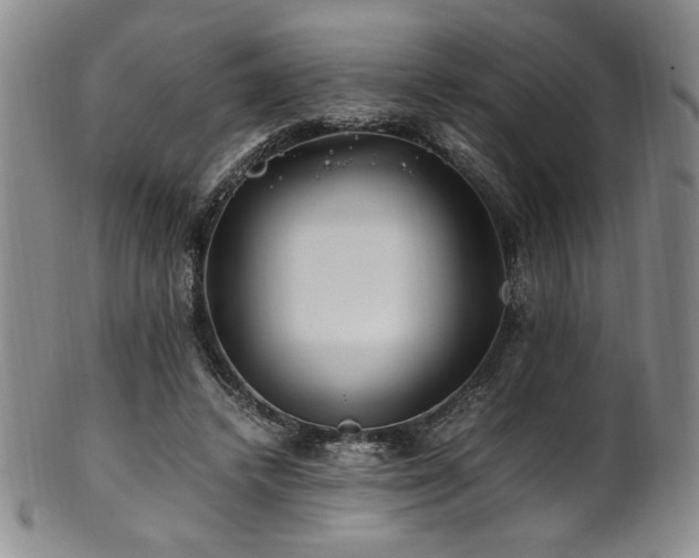 X0000101710448200807101609