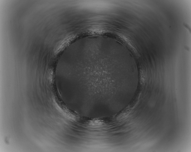 X0000101710451200807101609