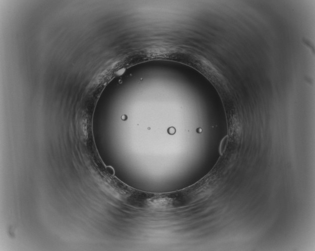 X0000101710452200807101609