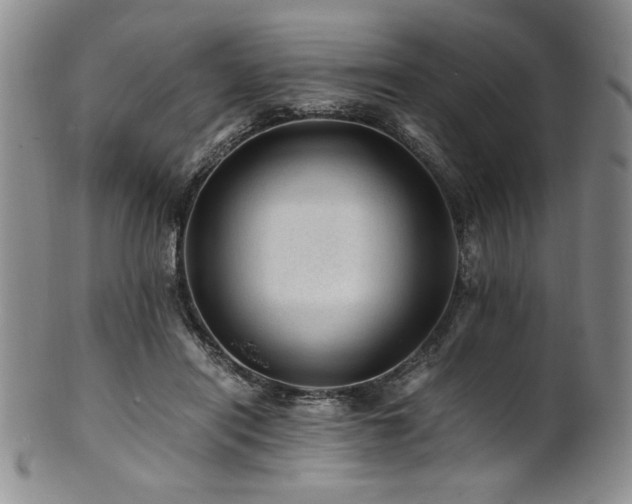 X0000101710454200807101609