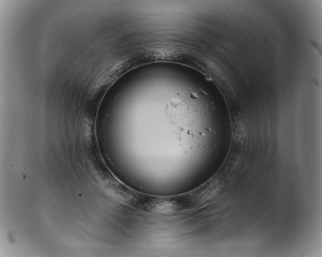 X0000101710456200807101609