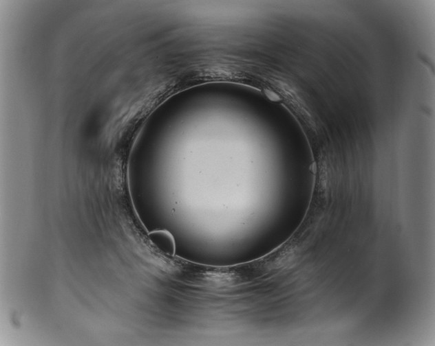 X0000101710457200807101609