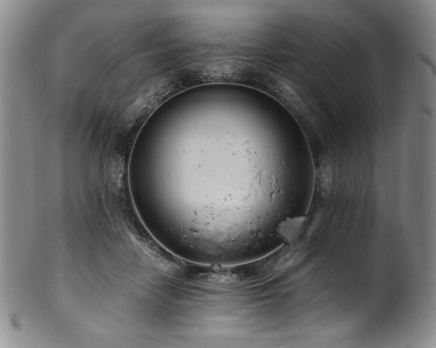 X0000101710458200807101609