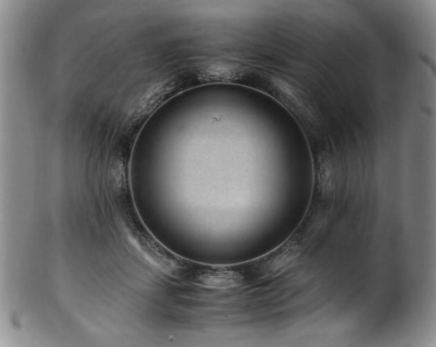 X0000101710459200807101609