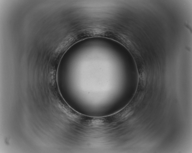 X0000101710462200807101609