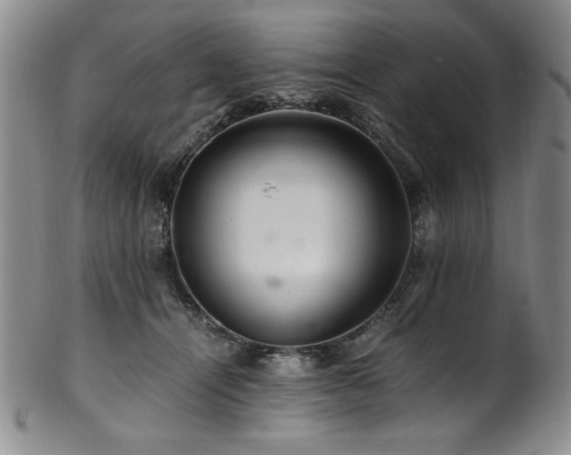 X0000101710464200807101609