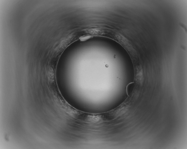 X0000101710469200807101609
