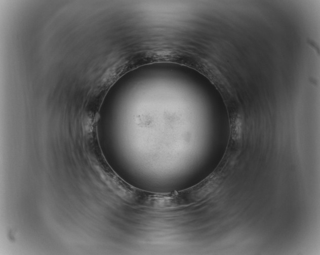 X0000101710472200807101609