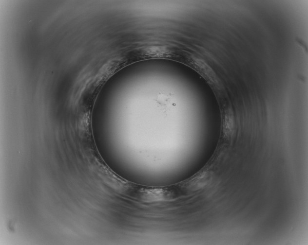 X0000101710473200807101609