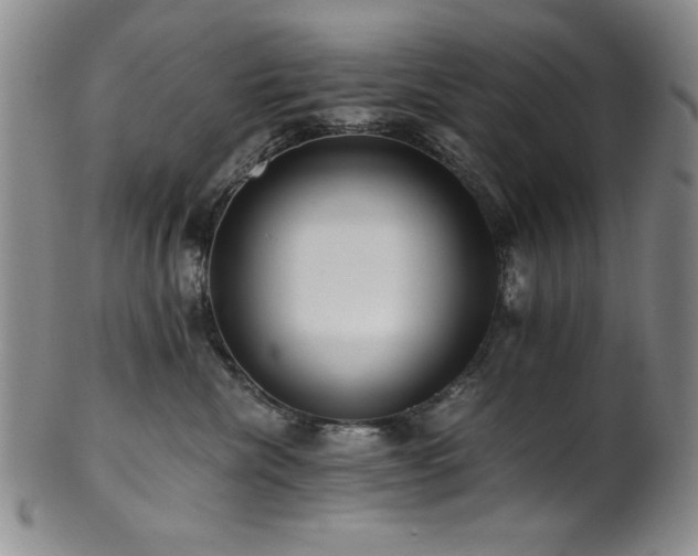 X0000101710476200807101609