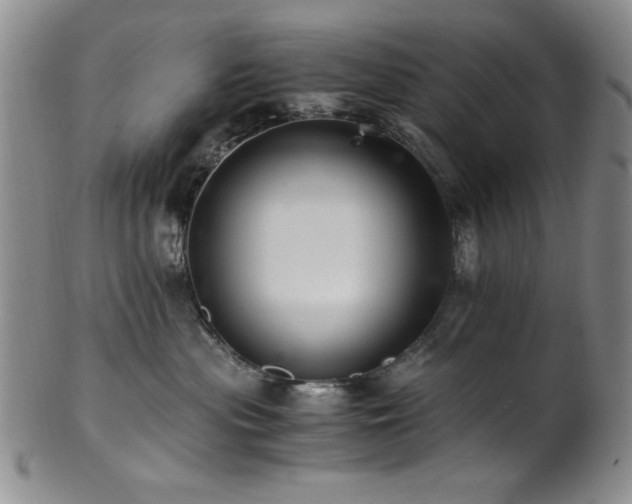 X0000101710477200807101609