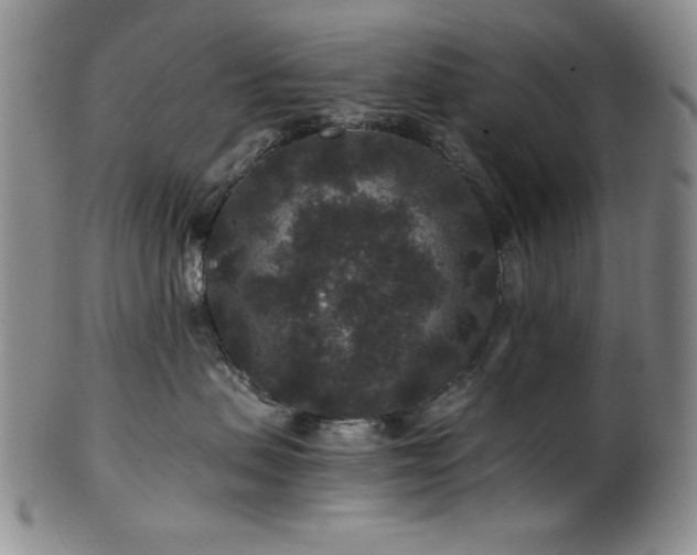 X0000101710479200807101609