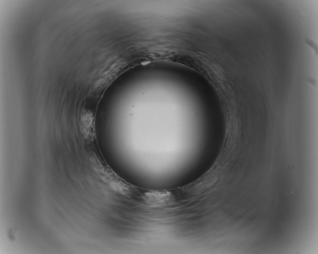 X0000101710480200807101609