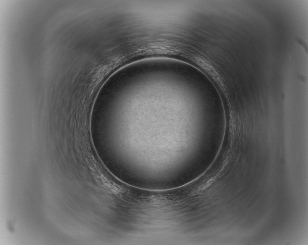 X0000101710481200807101608