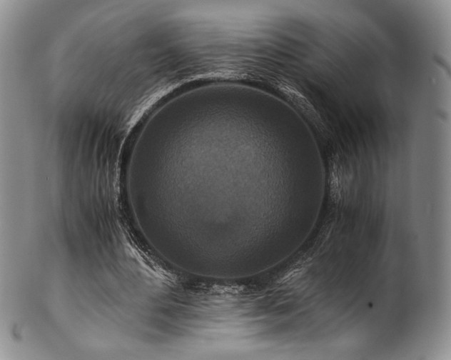 X0000101710484200807101608