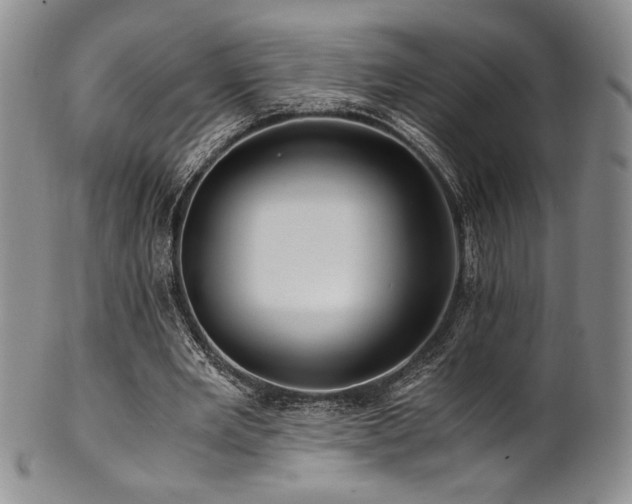 X0000101710485200807101608