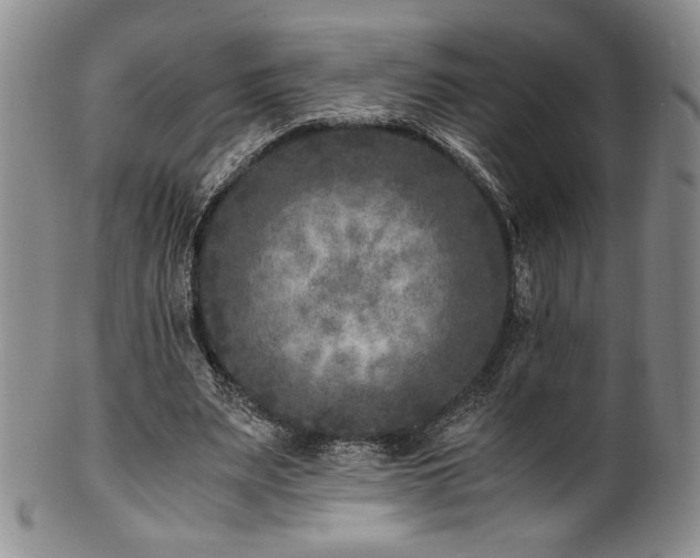 X0000101710487200807101608