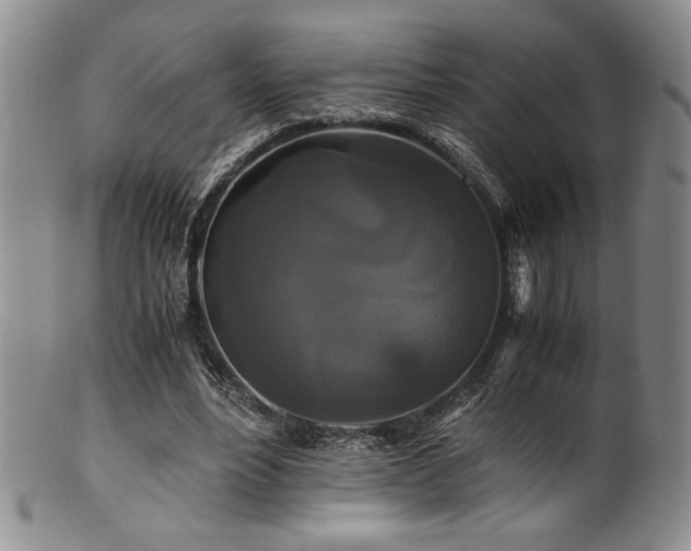 X0000101710488200807101608
