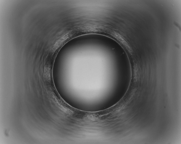 X0000101710489200807101608