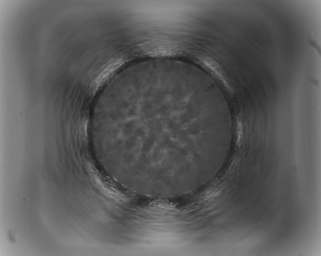 X0000101710491200807101608