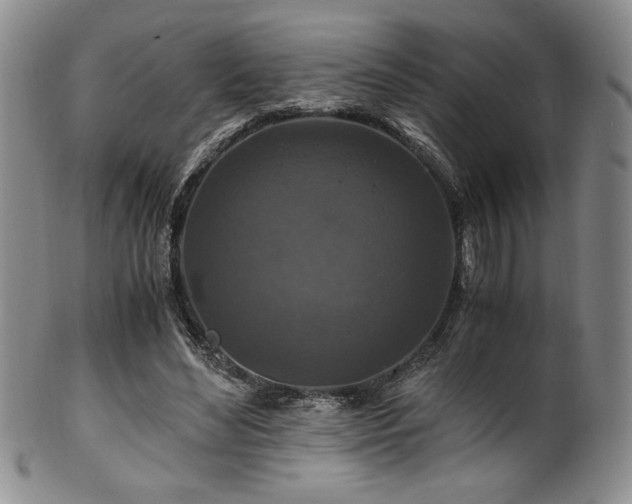 X0000101710492200807101608