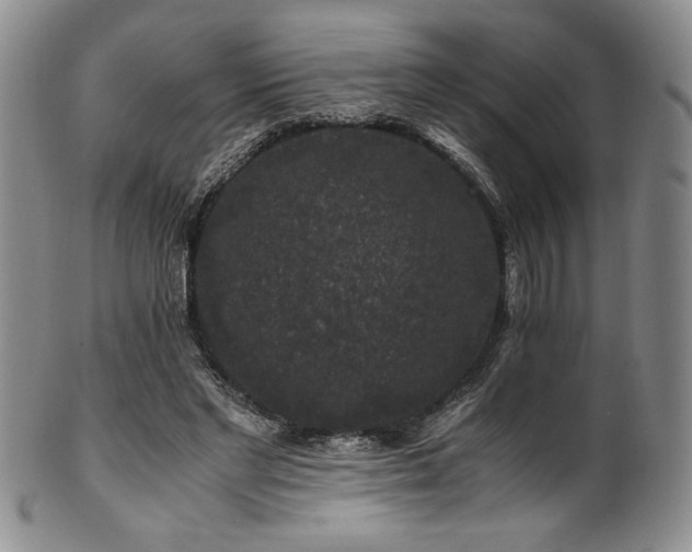 X0000101710493200807101608