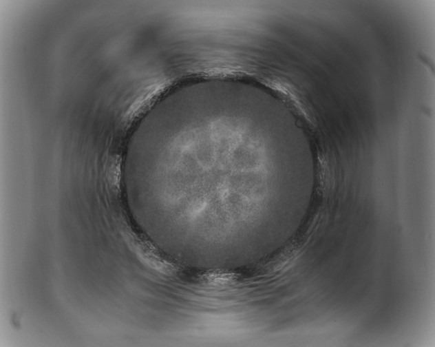 X0000101710495200807101608