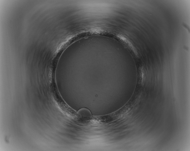 X0000101710496200807101608