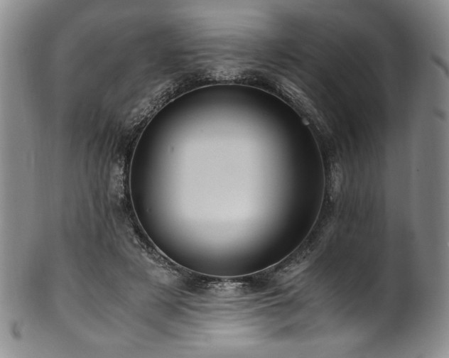X0000101710497200807101608