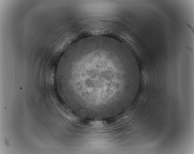 X0000101710499200807101608