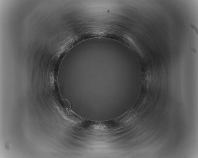 X0000101710500200807101608
