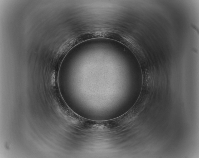 X0000101710502200807101608